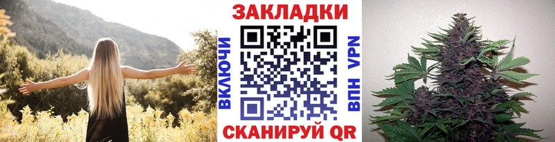 A-PVP Малмыж