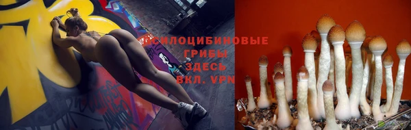 мяу мяу мука Баксан