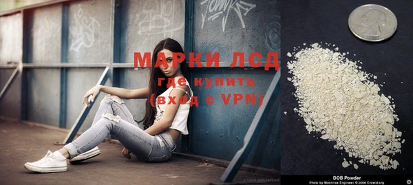 мяу мяу мука Баксан