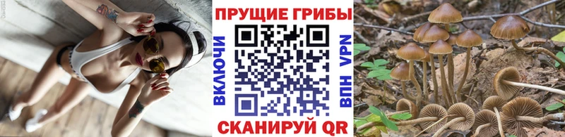 Галлюциногенные грибы Magic Shrooms  Малмыж 